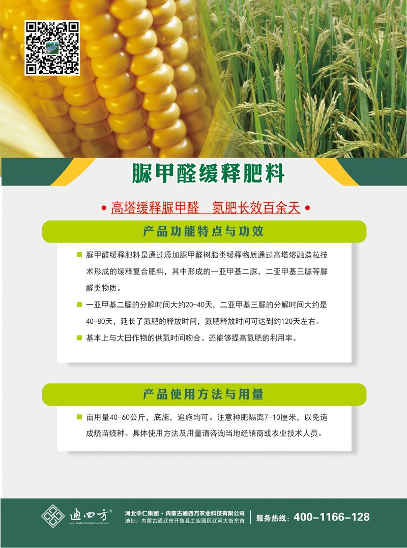 ���ȩ��ጷ���